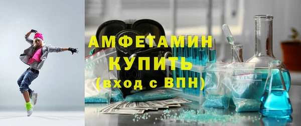 гидра Горняк