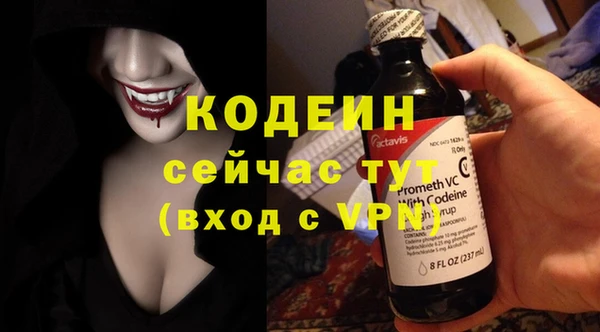 ПСИЛОЦИБИНОВЫЕ ГРИБЫ Горно-Алтайск