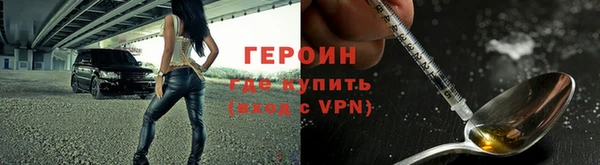 гидра Горняк