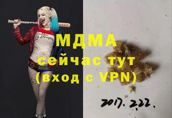 гидра Горняк