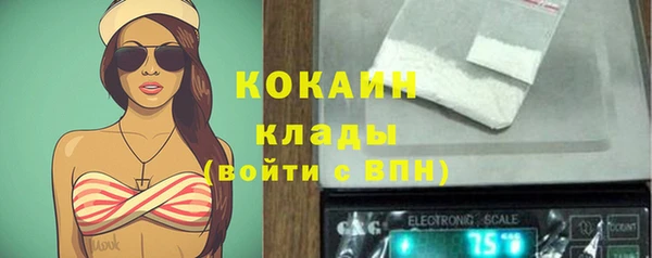 гидра Горняк